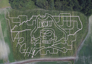 cornmaze